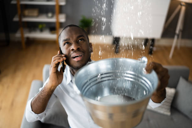 Best Professional water damage repair  in Beaver, PA