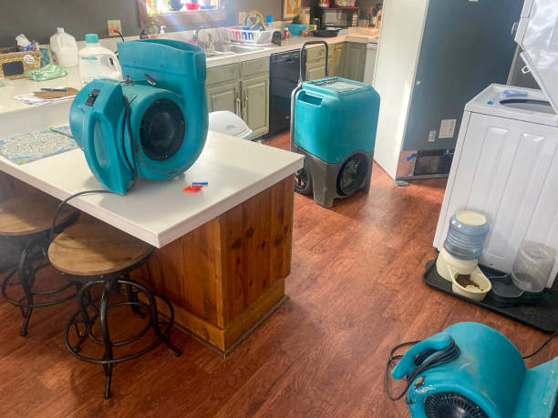 Best Flood damage cleanup  in Beaver, PA