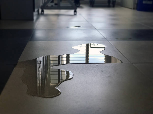 Best 24-hour water damage restoration  in Beaver, PA