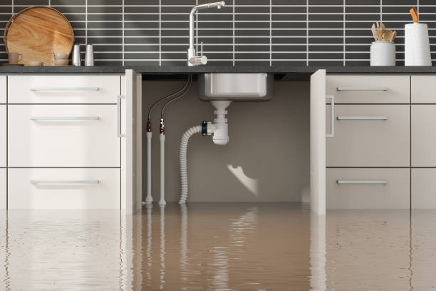 Best 24/7 water damage repair  in Beaver, PA