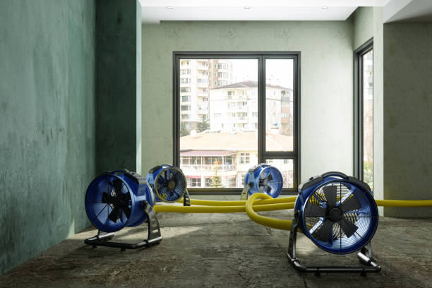 Best Water damage restoration near me  in Beaver, PA